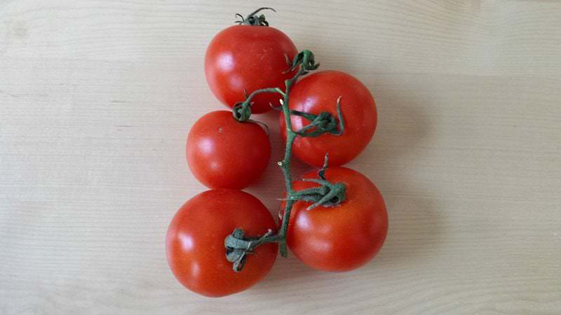 Tomaten selbst pflanzen