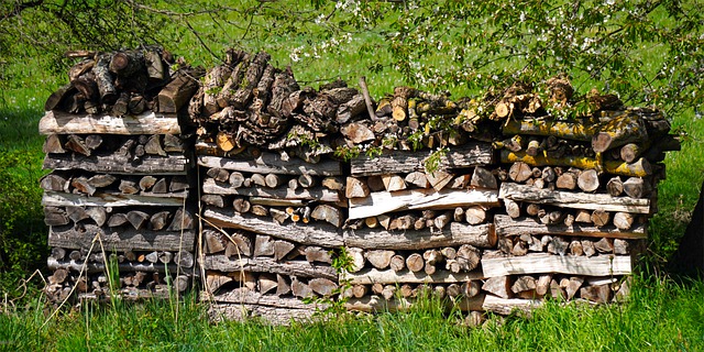 Holz für Kamin aus Wald
